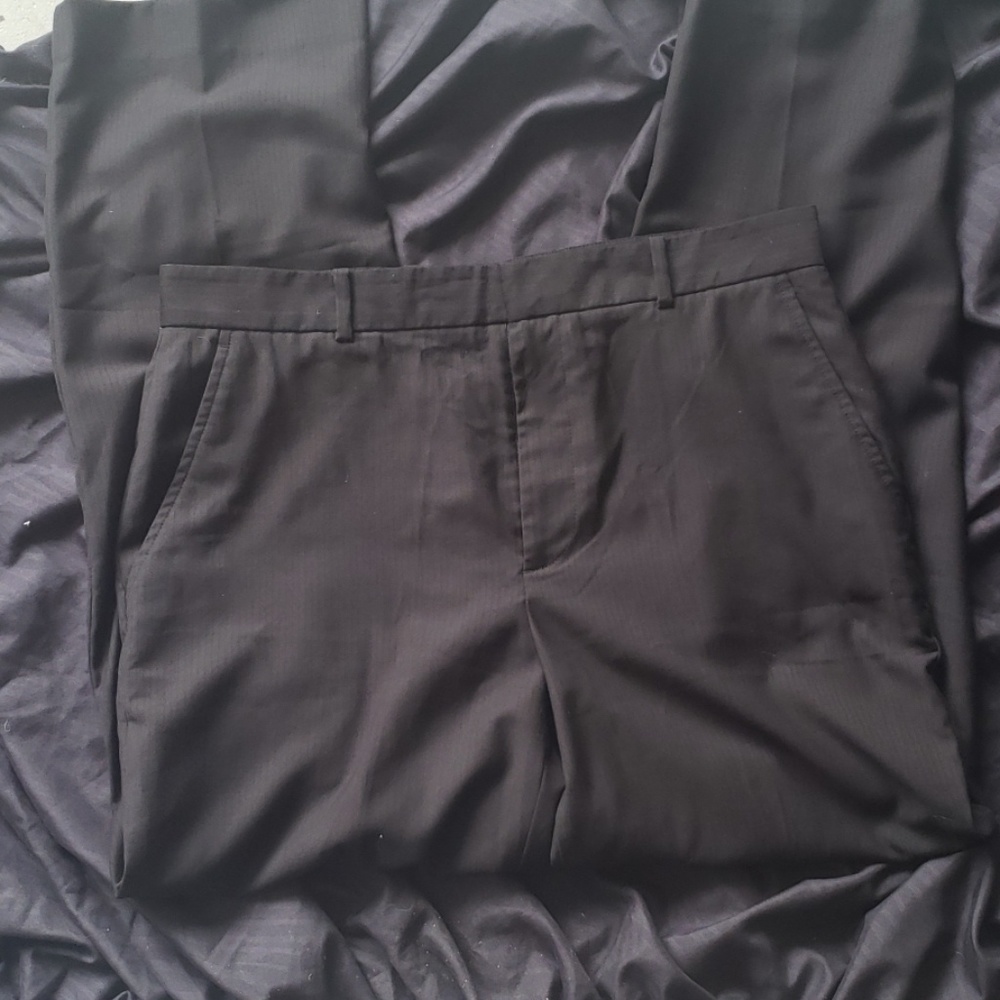 Dress pants